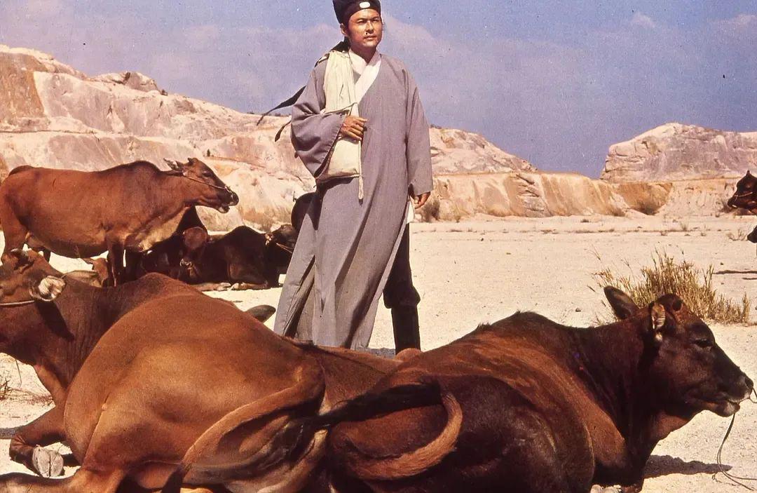 胡金铨职业生涯的关键一步封面图