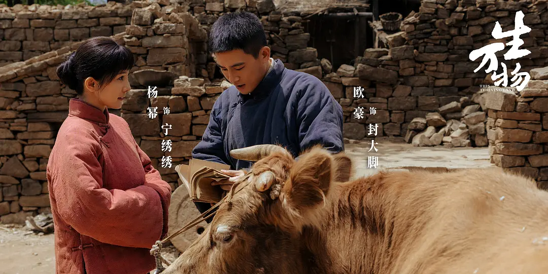 暑期档剧集，终于诞生一部真正的“爆款”封面图