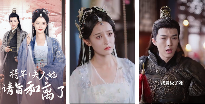 《将军！夫人她请旨和离了》侵权《桃花马上请长缨》，法院判赔25万元封面图