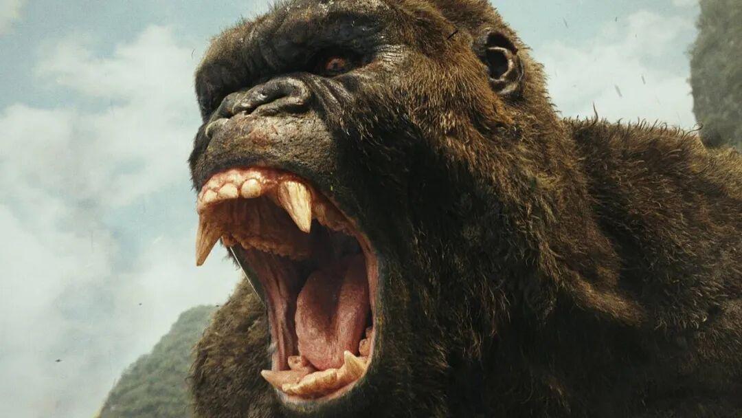 史上所有《金刚》电影按上映日期排序封面图