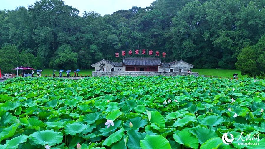 从《山海情》到《沉默的荣耀》，福建如何制造“爆款”？封面图