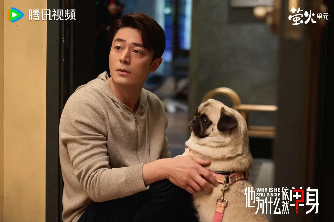 从《难哄》《许我耀眼》到《狙击蝴蝶》，多部大陆现代剧引台湾观众追更封面图