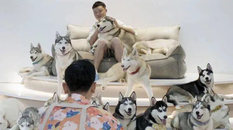 强烈推荐纪录片《恋爱游戏》： 戳穿了人类择偶机制的底层运转逻辑封面图