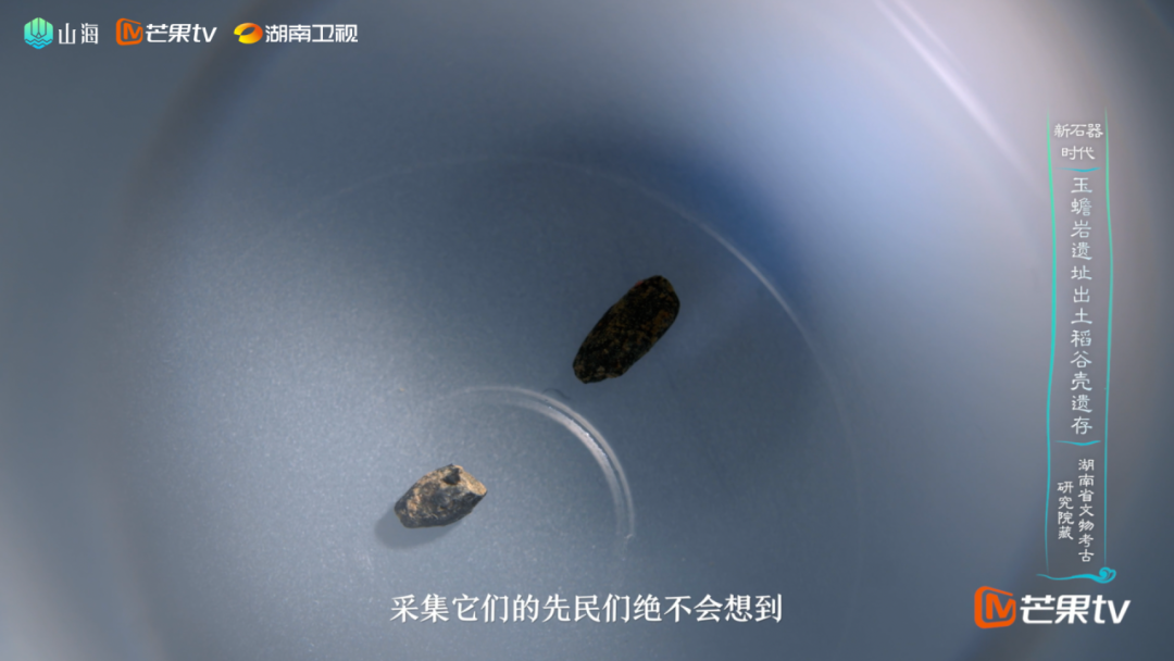 纪录片《因为长江》第六集“湖湘·润稻”篇播出：江湖共润，稻香万年封面图