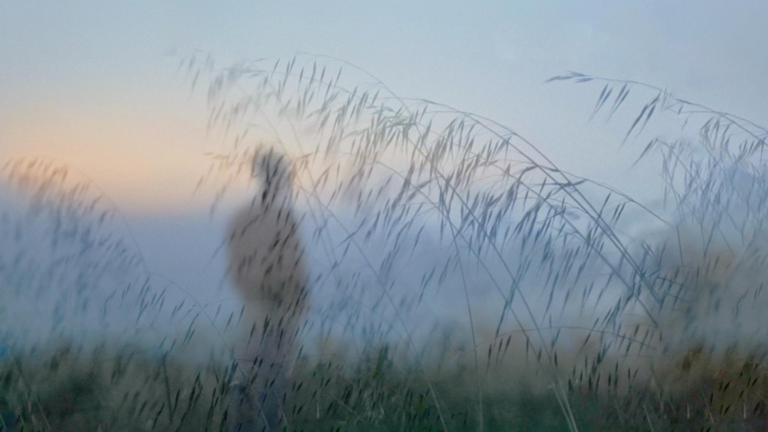 “中国当代音乐之王”，一意孤行封面图