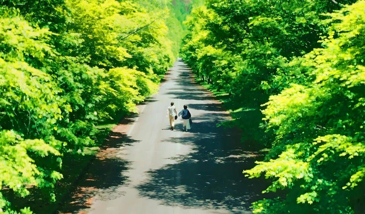 如果今年只看一部爱情片，我选这一部封面图