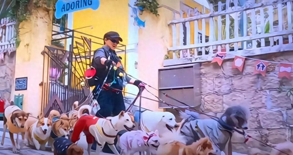 成龙，为什么又行了？和梁家辉的对手戏绝了！封面图