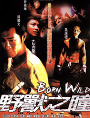 野兽之瞳封面图