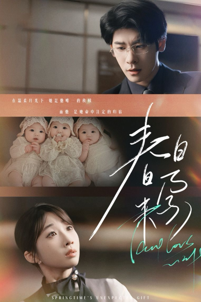 春日来孕封面图