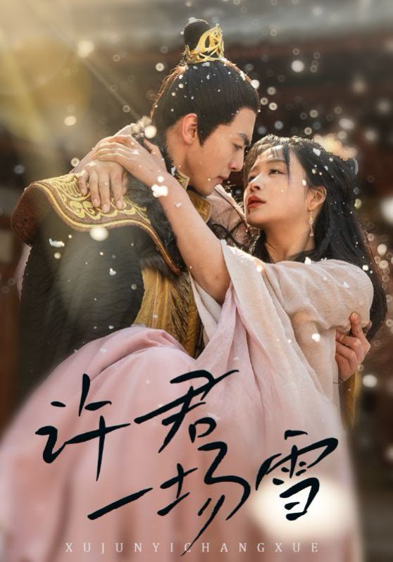 许君一场雪封面图