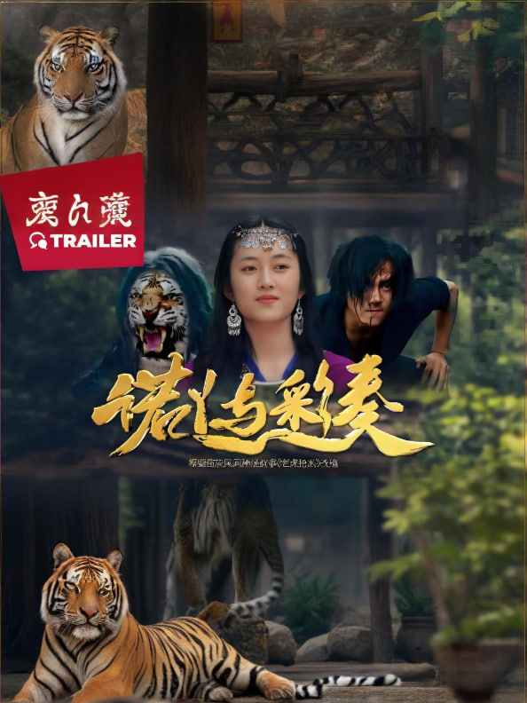 诺丫与彩奏封面图