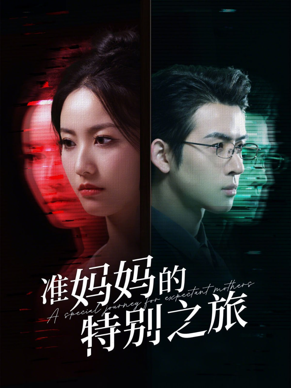 准妈妈的特别之旅封面图