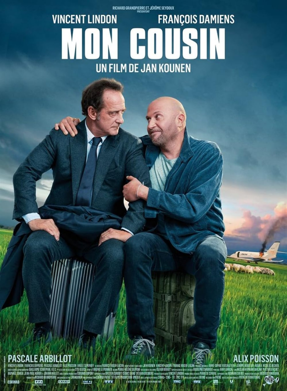 我的表兄弟封面图