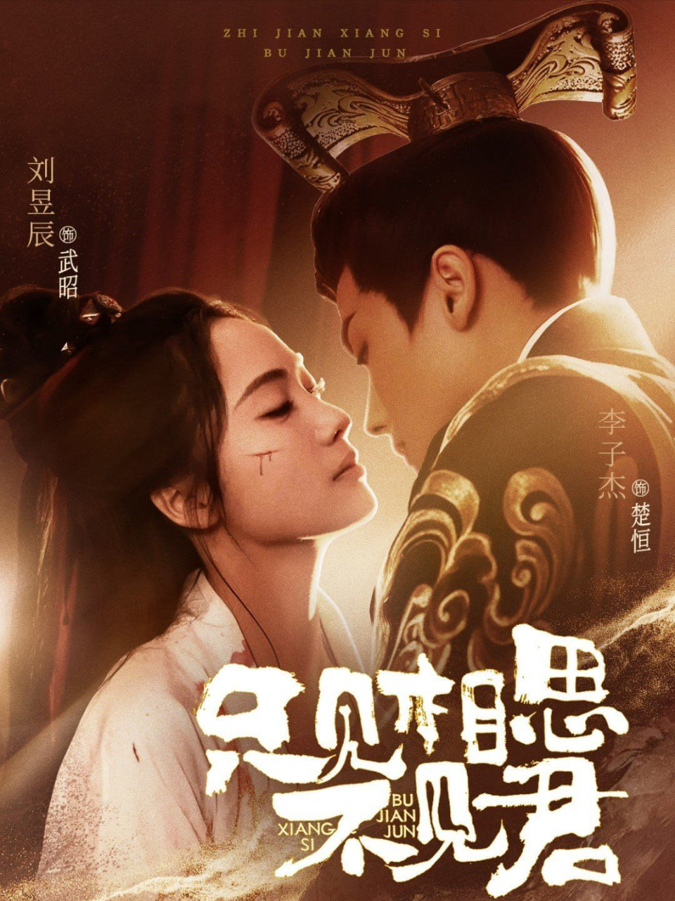 只见相思不见君封面图