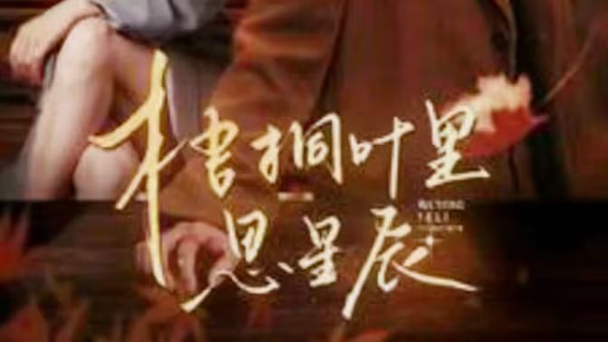 梧桐叶里思星辰封面图