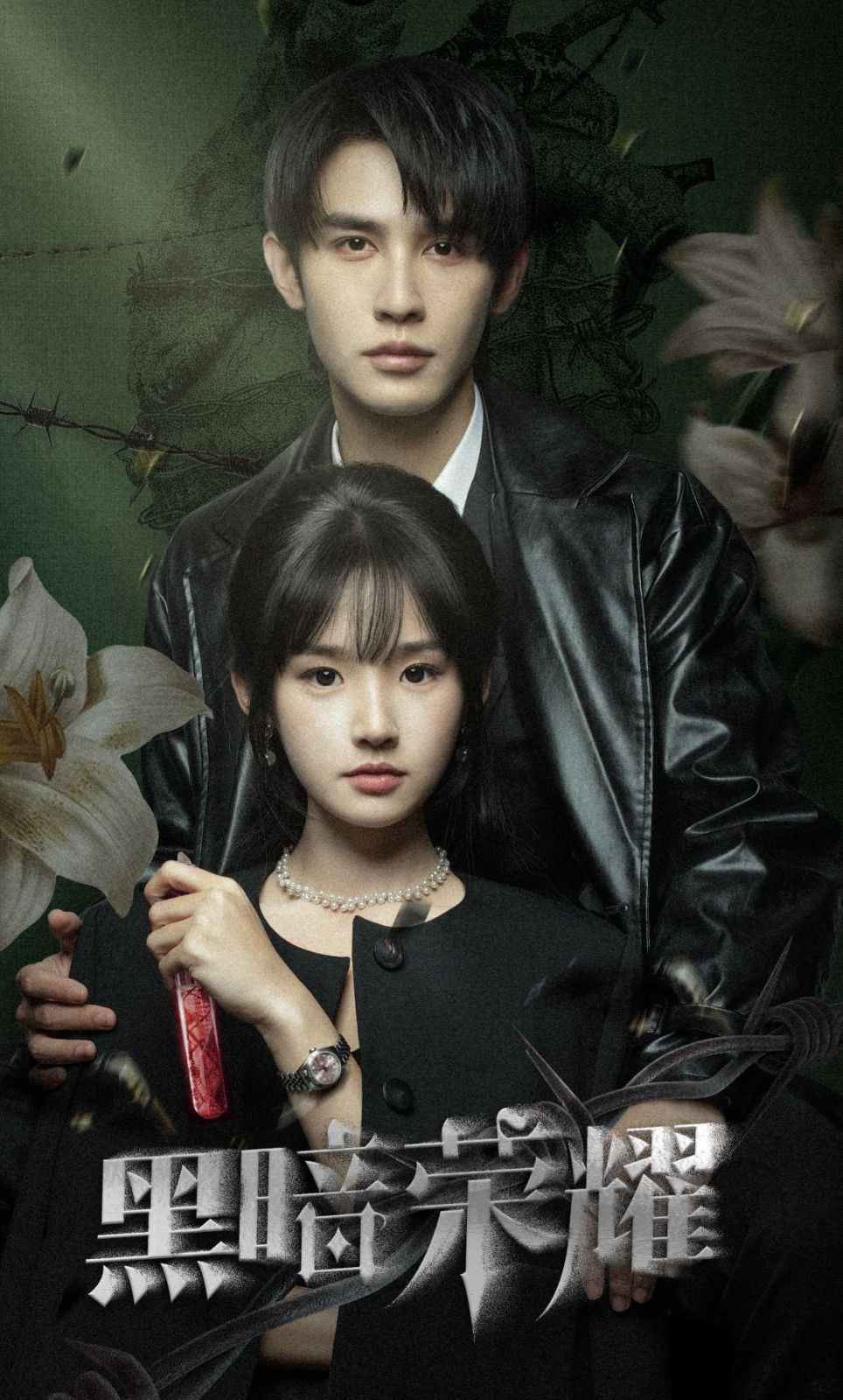 黑暗荣耀封面图