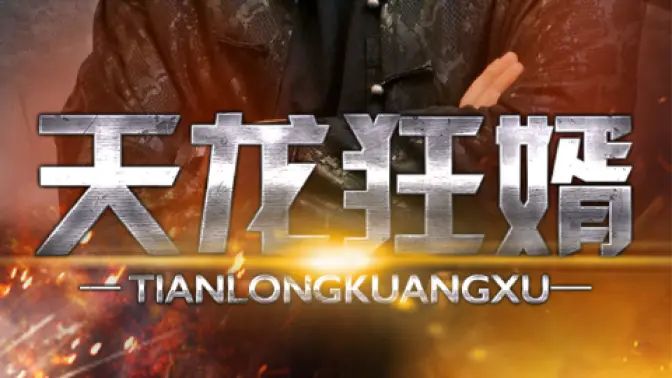 天龙狂婿封面图