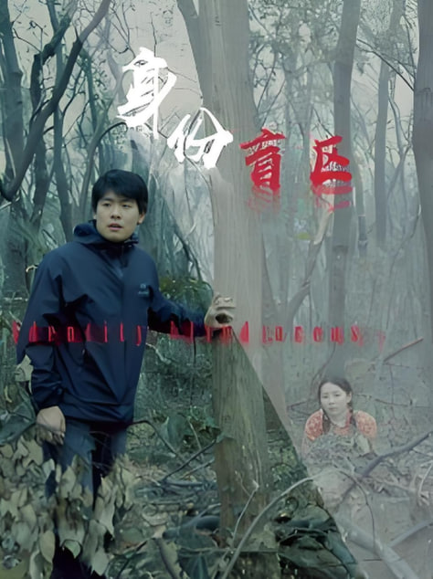 身份盲区封面图