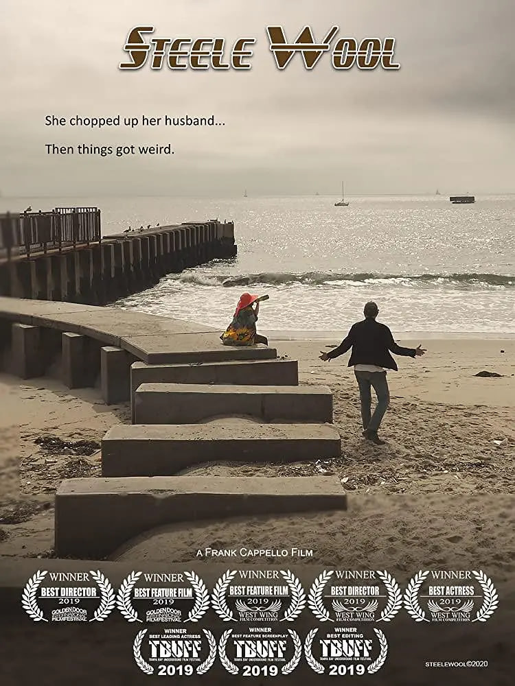 斯蒂尔羊毛 2019封面图