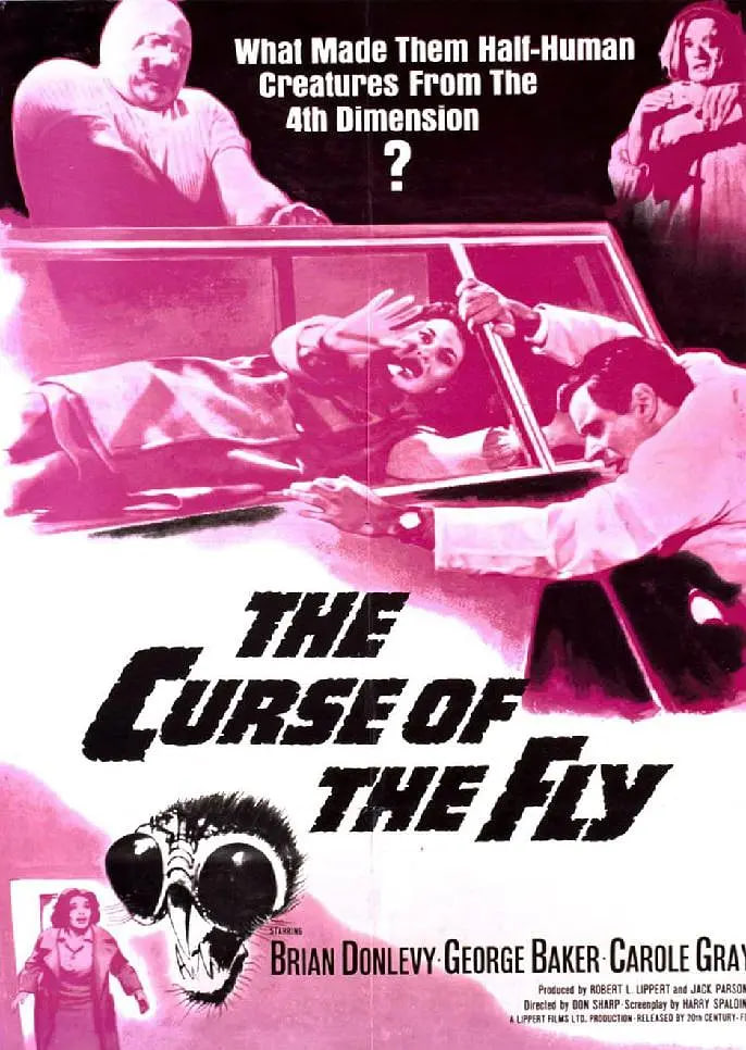 变蝇人的诅咒封面图