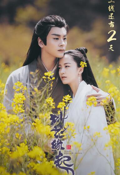 桃花缘起封面图