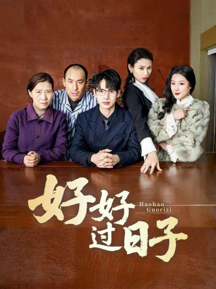 好好过日子封面图