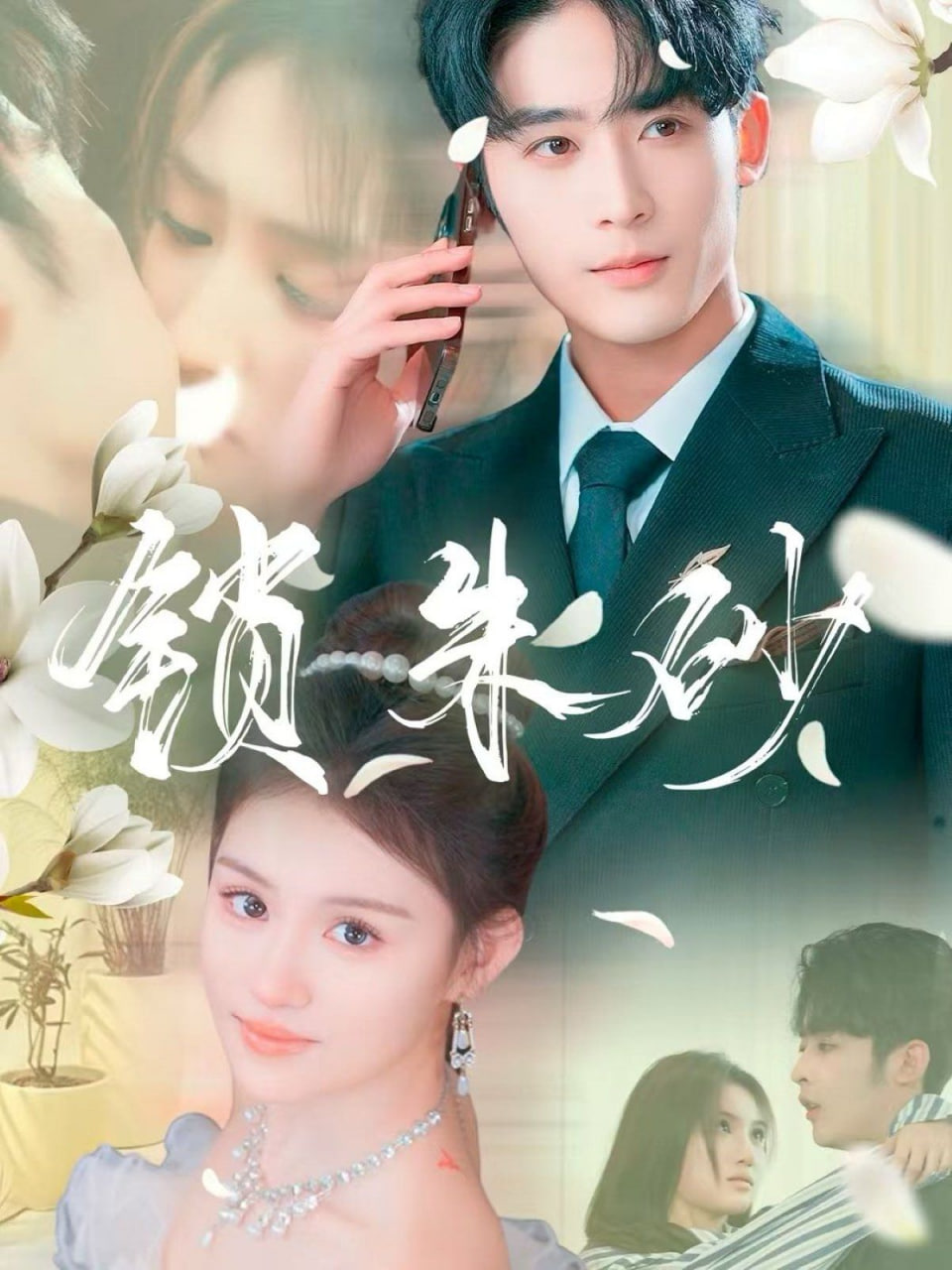 锁朱砂（在火焰尽头等你）封面图