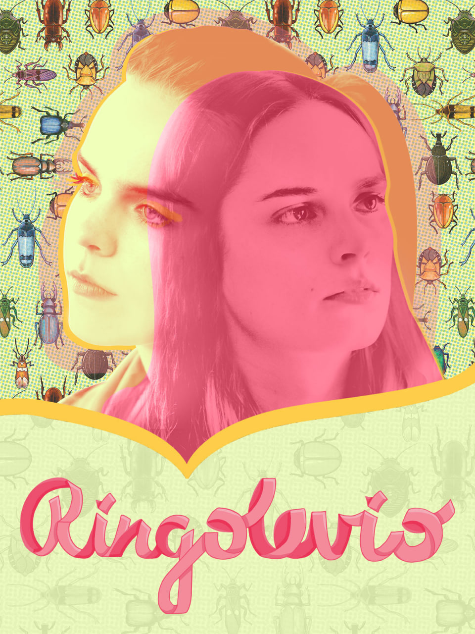 北上见家长封面图