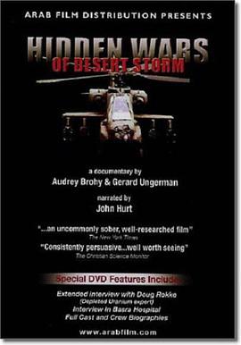 沙漠风暴（下）封面图