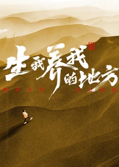 生我养我的地方封面图