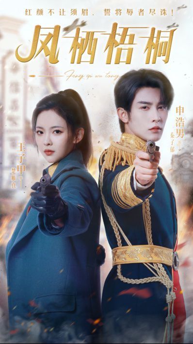 凤栖梧桐封面图