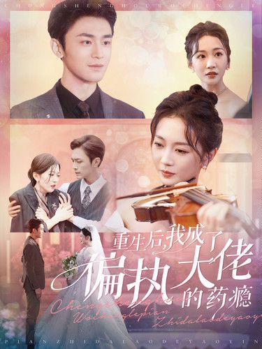 重生后我成了偏执大佬的药瘾封面图