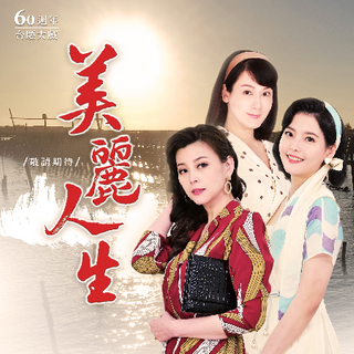 美丽人生台版封面图