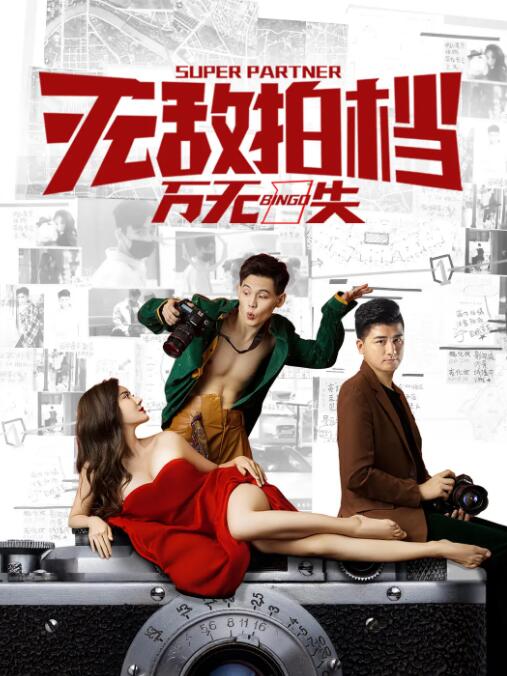 无敌拍档之万无一失封面图