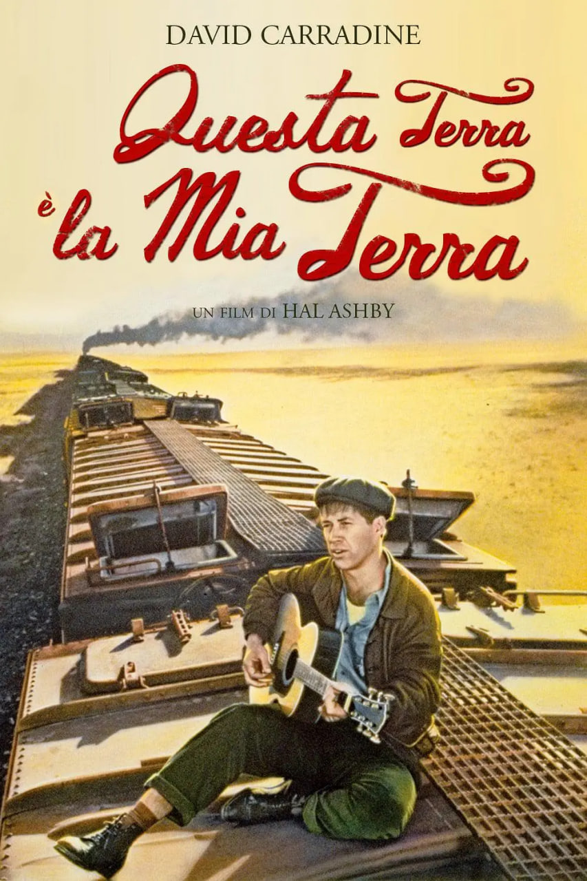 光荣何价封面图