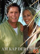 棕榈之风封面图