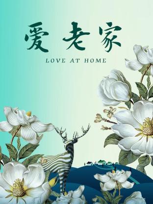 爱·老家封面图
