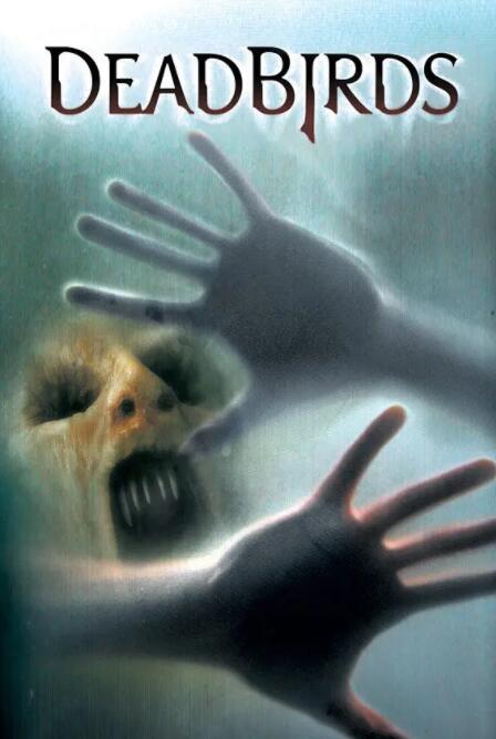 索魂恶鸟封面图