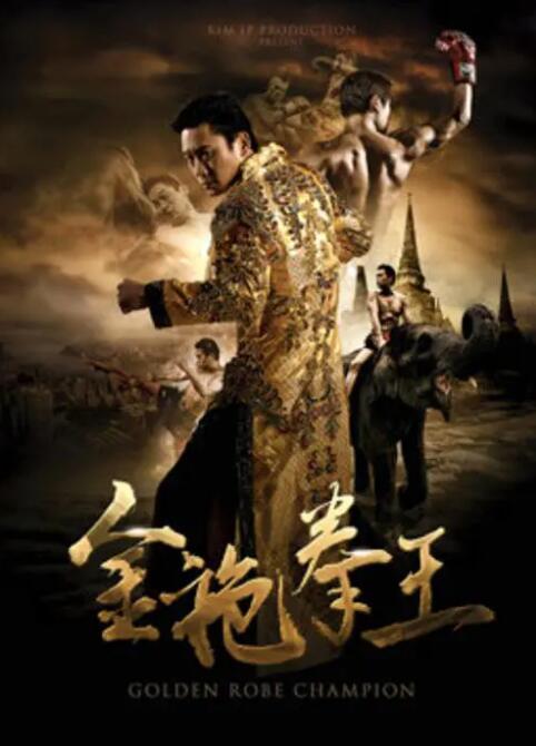 金袍拳王封面图