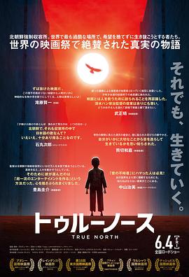 真实的北方封面图