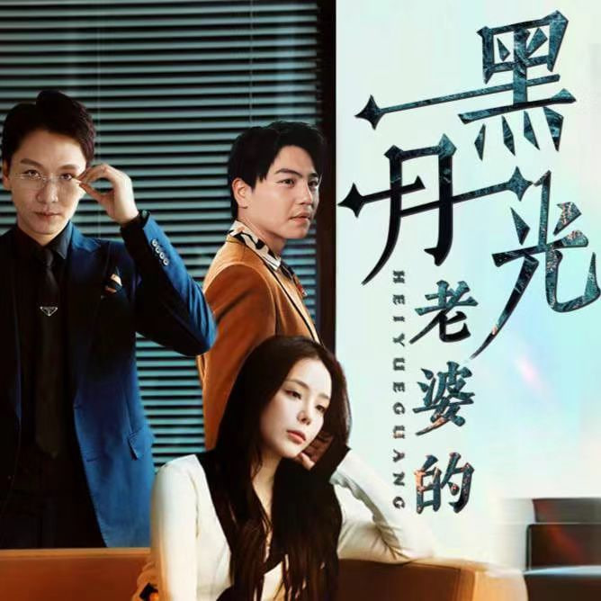 老婆的黑月光封面图