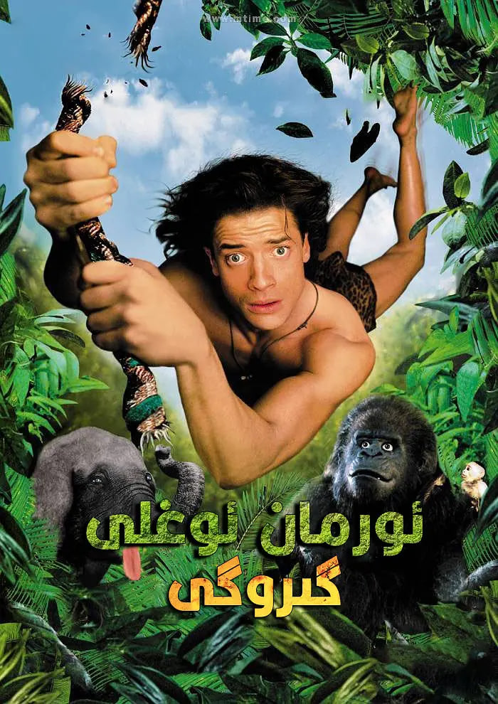 森林泰山封面图