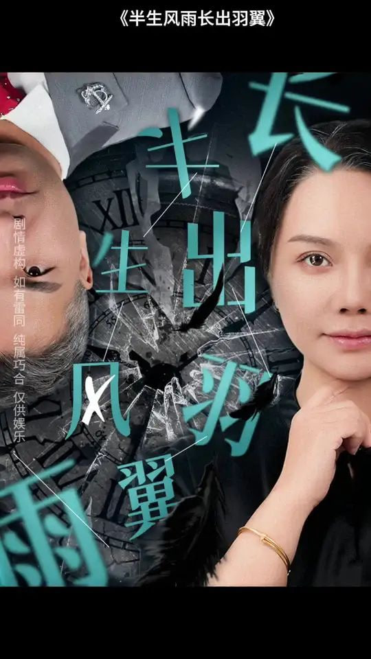 半生风雨长出羽翼封面图