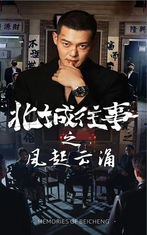 北城往事之风起云涌封面图