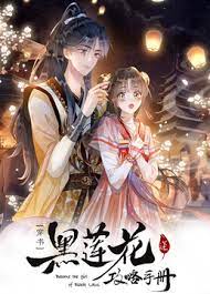 黑莲花攻略手册第二季封面图