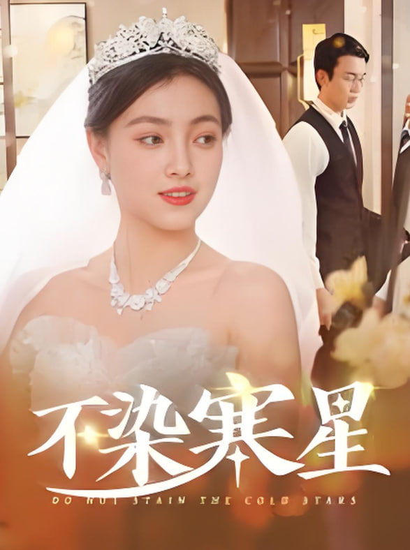 不染寒星封面图