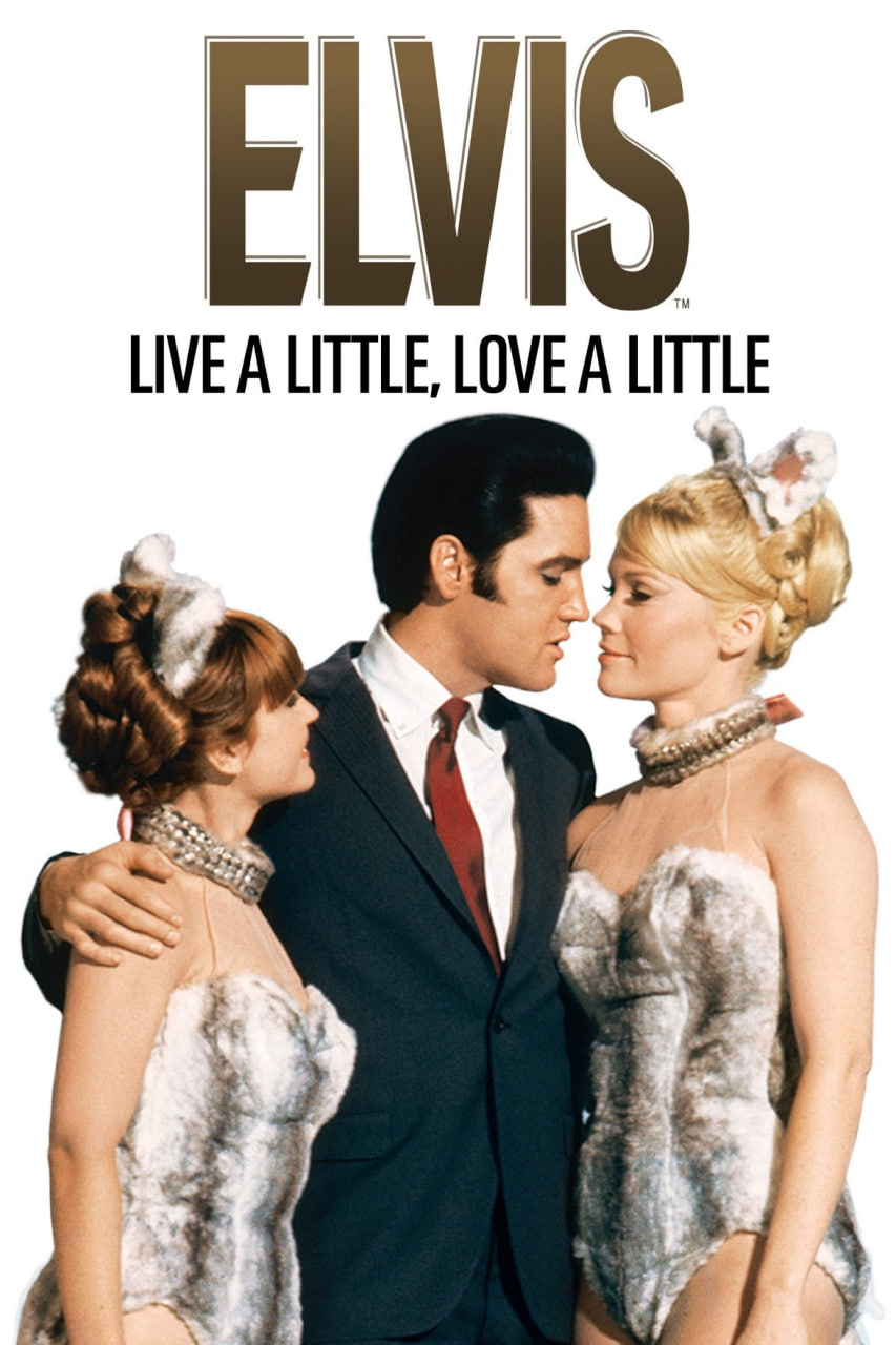 情醉众香国封面图