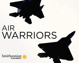 战机：空中勇士 第六季封面图