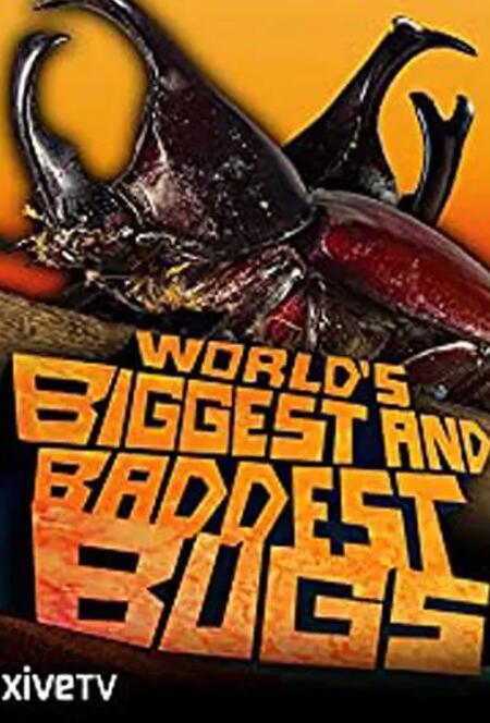 虫霸天下封面图