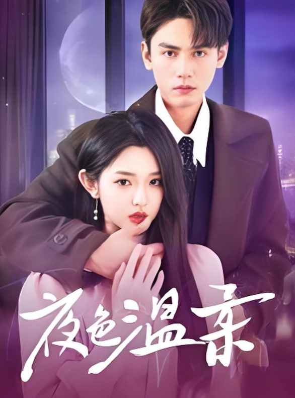 夜色温柔封面图